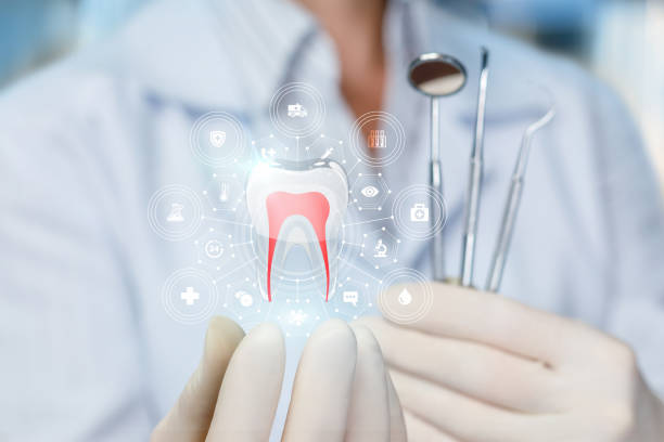 Professional  Holistic Dental Services in Houston, AK